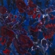 Icarus (2002)
